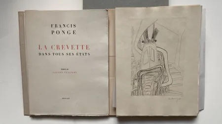 Illustrated Book Vulliamy - LA CREVETTE DANS TOUS SES ETATS