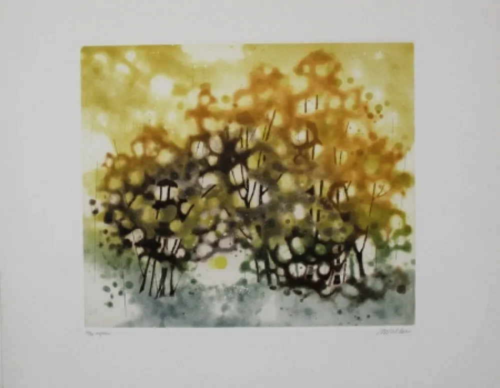 Etching And Aquatint Walker - Aspen