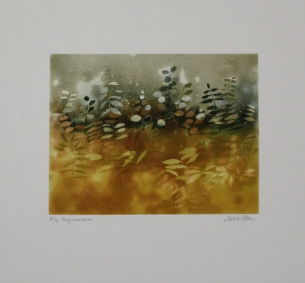 Etching And Aquatint Walker - Longmeadow