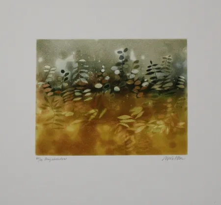 Etching And Aquatint Walker - Longmeadow