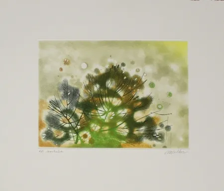 Etching And Aquatint Walker - Marhoha