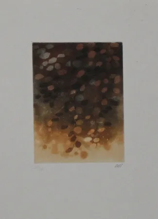 Etching And Aquatint Walker - Untitled