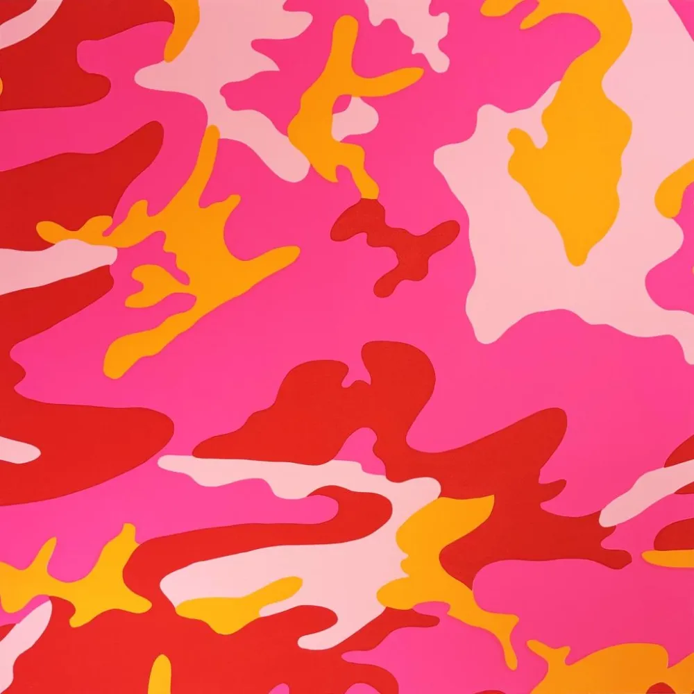 Screenprint Warhol - Camouflage, II.408