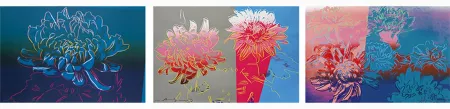 Screenprint Warhol - Kiku, Complete Portfolio