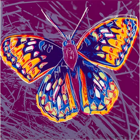 Screenprint Warhol - San Francisco Silverspot (FS II.298)