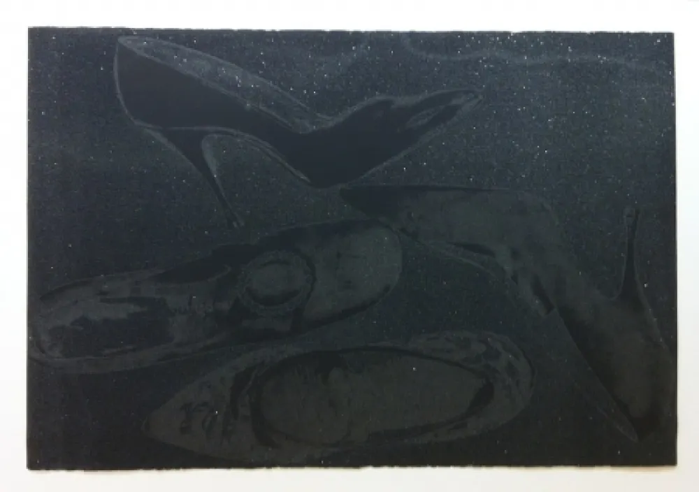 Screenprint Warhol - Shoes II.248 (Deluxe Edition)