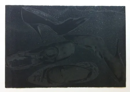 Screenprint Warhol - Shoes II.248 (Deluxe Edition)