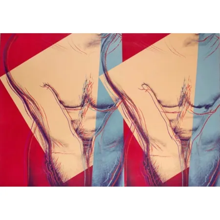 Screenprint Warhol - Torso (Double) (FS IIIA.35)