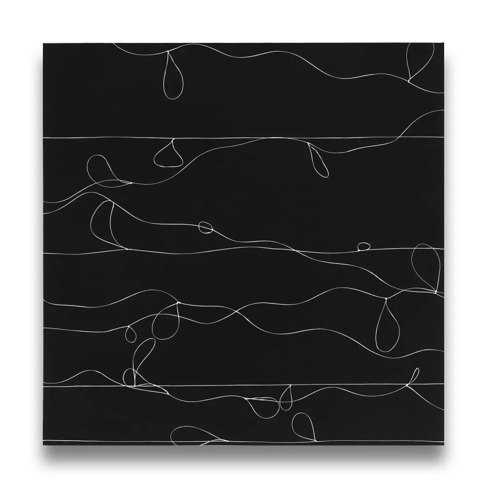 Photography Webber - Loops 1