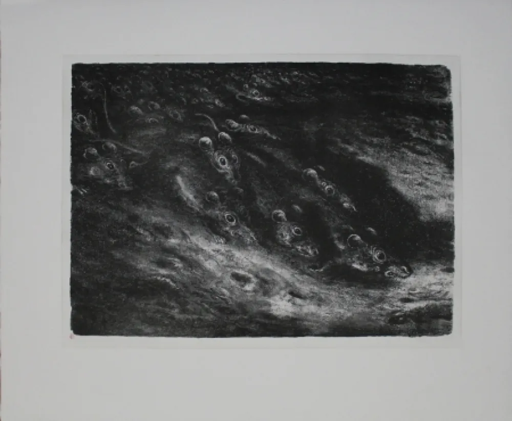 Lithograph Weber - Rattenzug