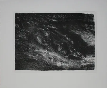 Lithograph Weber - Rattenzug