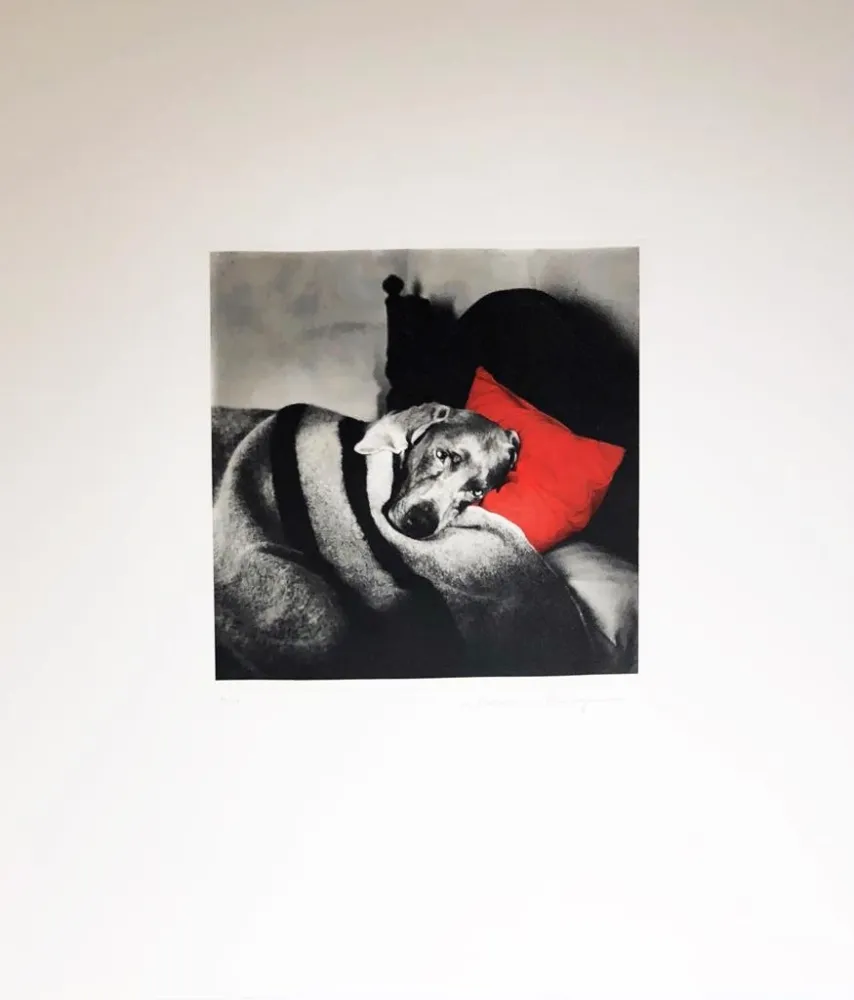 Etching Wegman - Cinderella Sleeping