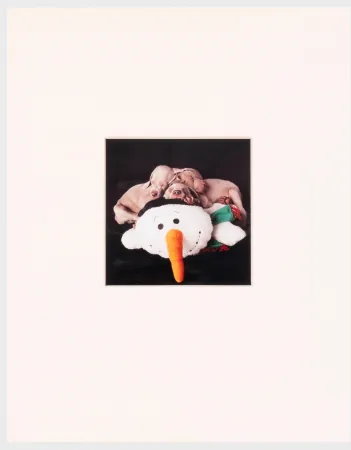 Photography Wegman - Three for One