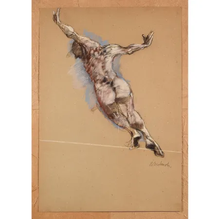 No Technical Weisbuch - Le saut de l’ange