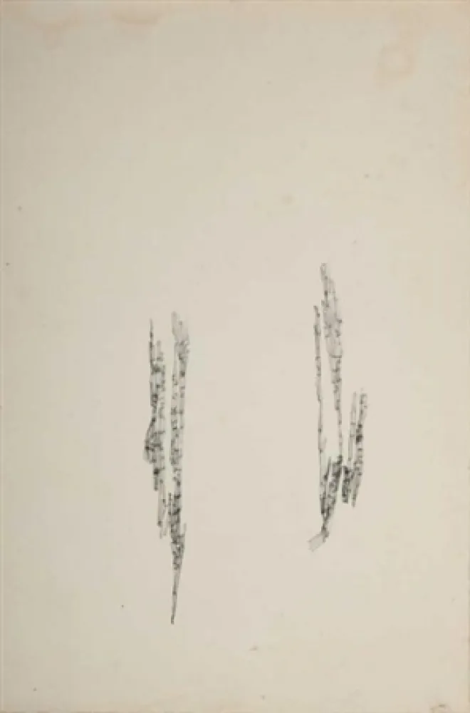 No Technical Wols - Commencement d'un dessin