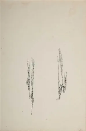 No Technical Wols - Commencement d'un dessin