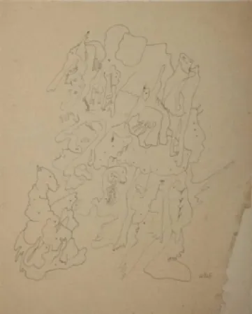 No Technical Wols - Les rochers du zoo