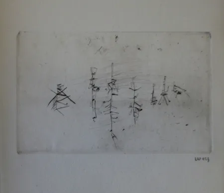 Illustrated Book Wols - L'invité des morts