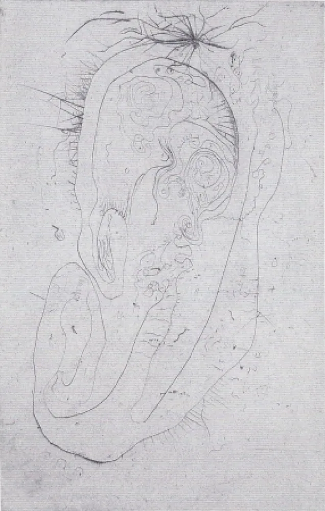 Illustrated Book Wols - Naturelles