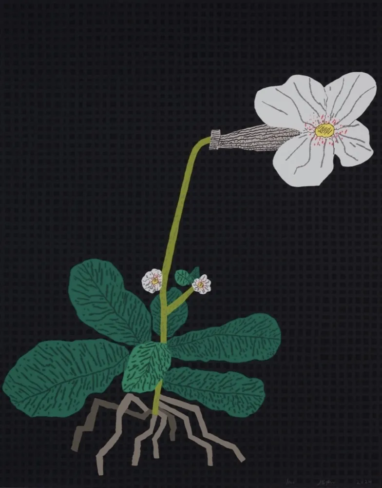 Screenprint Wood - White Flower with Grid
