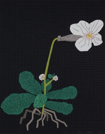 Screenprint Wood - White Flower with Grid