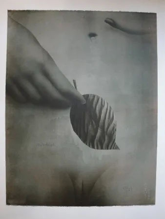 Lithograph Wunderlich - Das Blatt