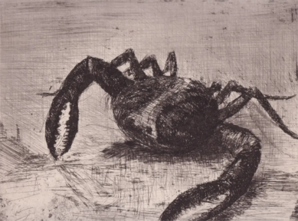 Illustrated Book Zamorano De Biedma - Bestiaire