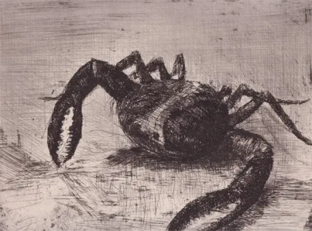 Illustrated Book Zamorano De Biedma - Bestiaire