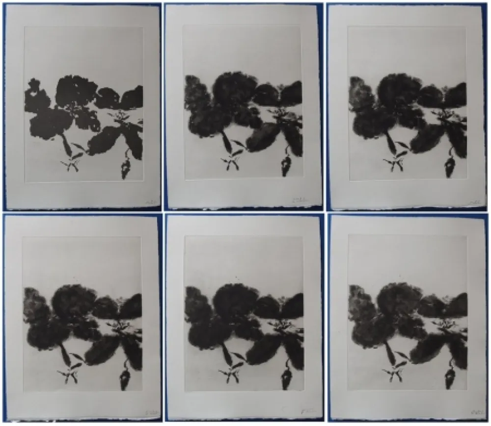 Etching And Aquatint Zao - 6 états de la gravure 
