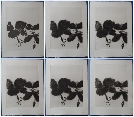 Etching And Aquatint Zao - 6 états de la gravure 