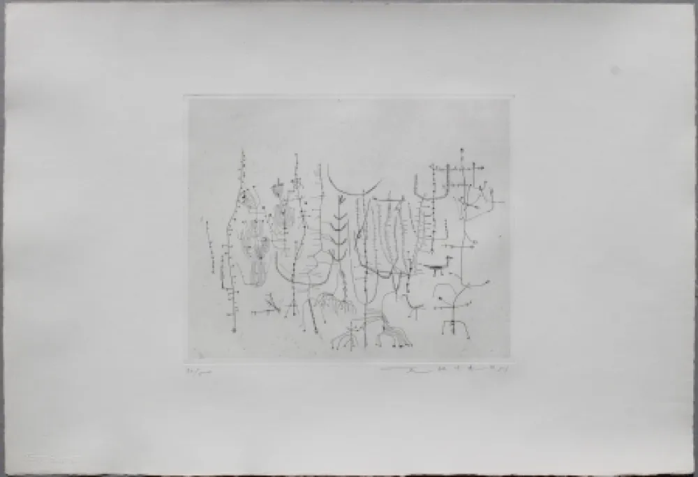 Drypoint Zao - Arbrisseaux (Shrub)