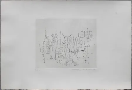 Drypoint Zao - Arbrisseaux (Shrub)