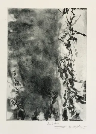 Etching And Aquatint Zao - Proustiennes (348)