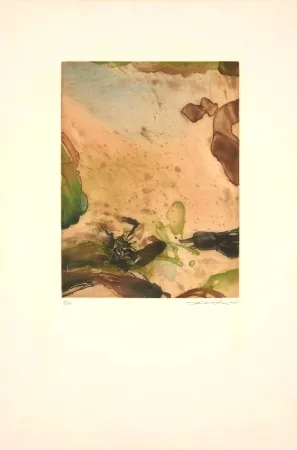 Etching And Aquatint Zao - Sans Titre