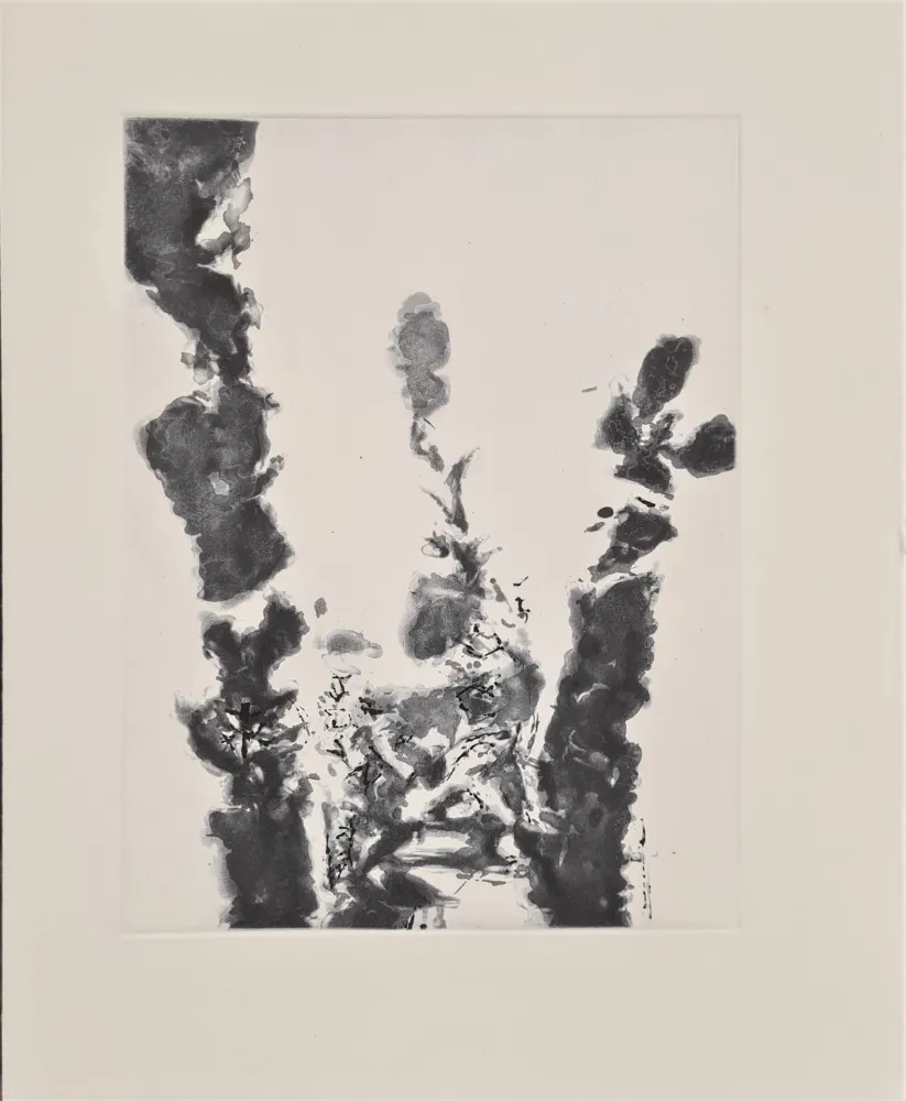 Etching And Aquatint Zao - XXIV Sonnets de Shakespeare