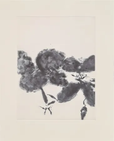 Etching And Aquatint Zao - XXIV Sonnets de Shakespeare