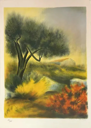 Lithograph Zarou - Sans Titre