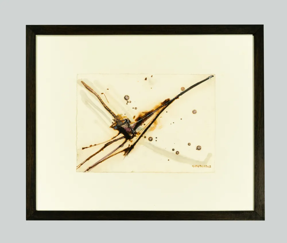 No Technical Zorio - Senza titolo (Canoa)