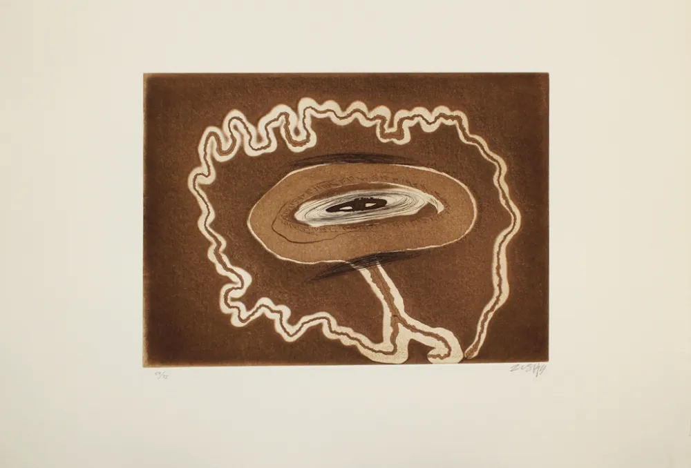 Etching And Aquatint Zush - Abraensud