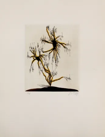 Etching And Aquatint Zush - Anzuras