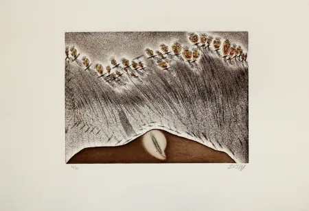 Etching And Aquatint Zush - Emeros