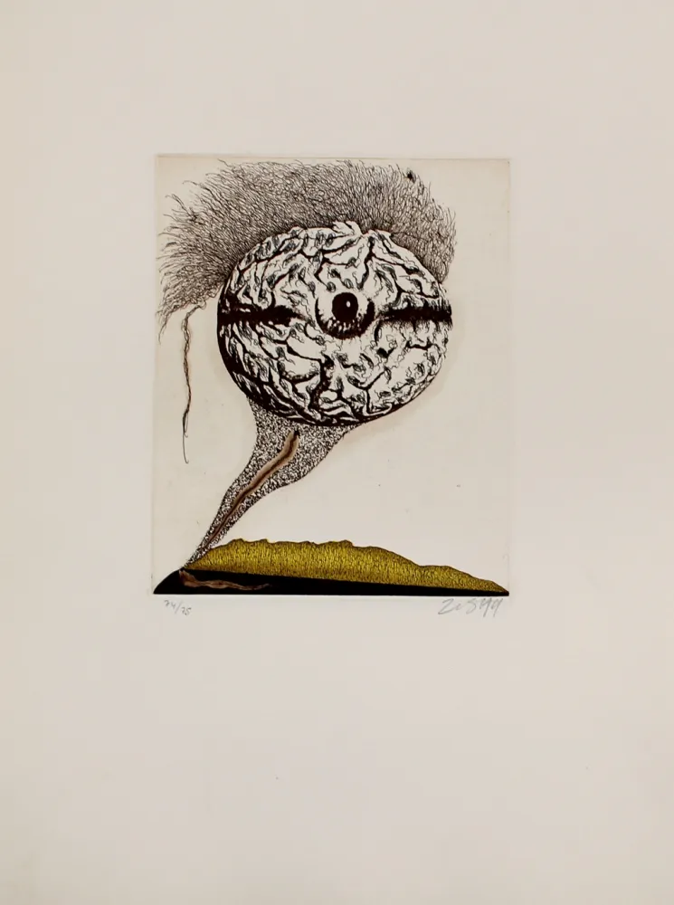 Etching And Aquatint Zush - Mabrain