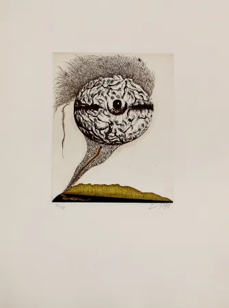 Etching And Aquatint Zush - Mabrain