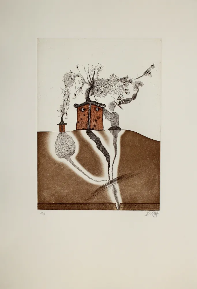 Etching And Aquatint Zush - Mahome