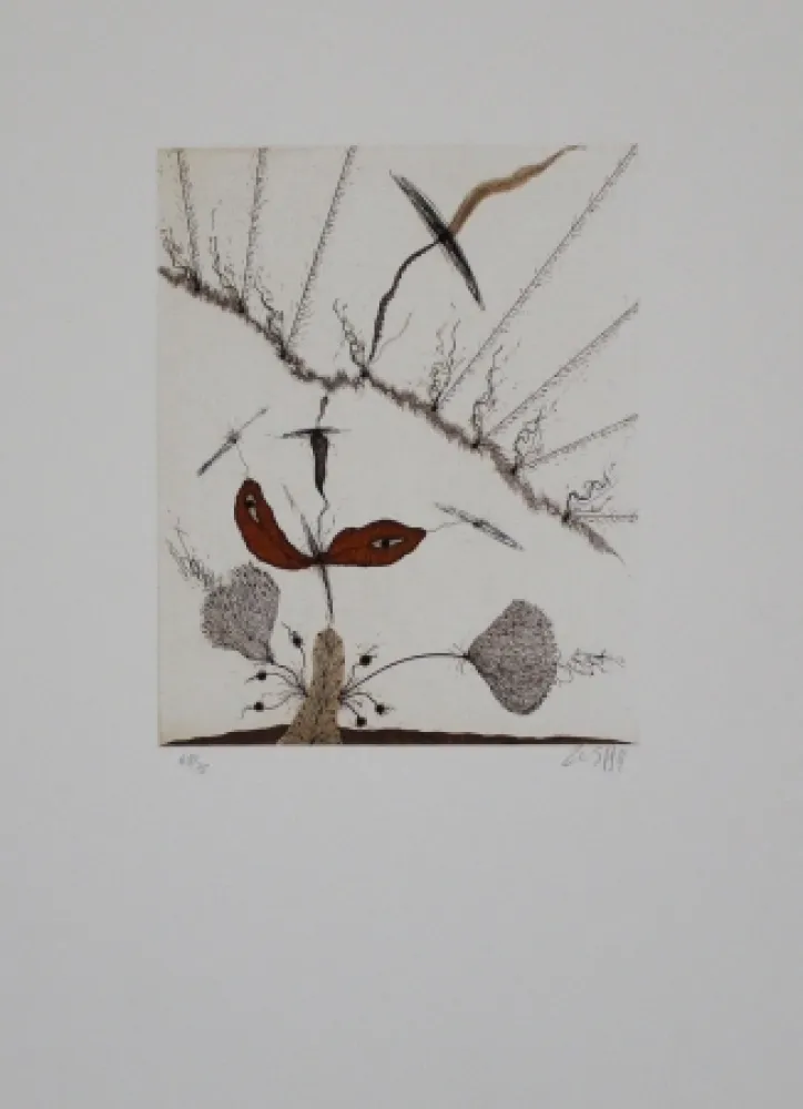 Etching And Aquatint Zush - Moplant