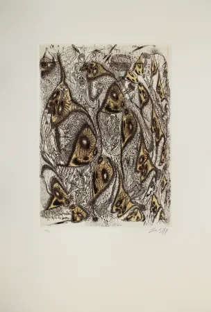 Etching And Aquatint Zush - Omolas