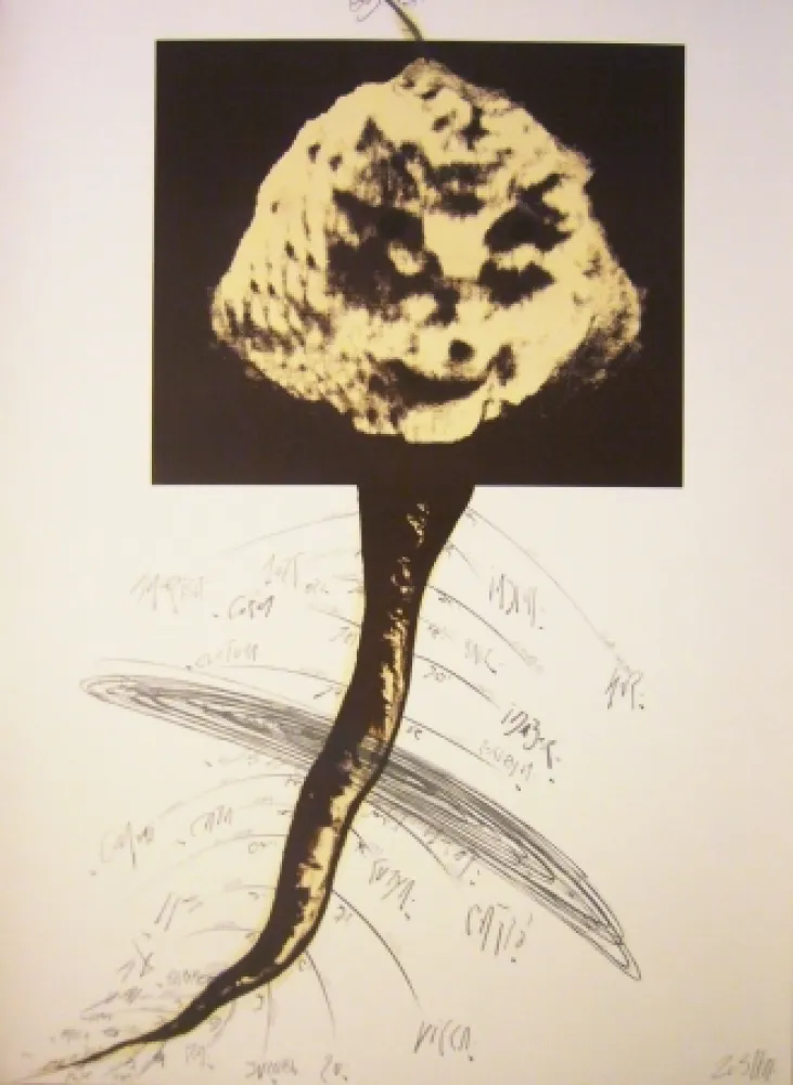 Lithograph Zush - Sans titre 2