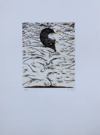 Etching And Aquatint Zush - Sascape