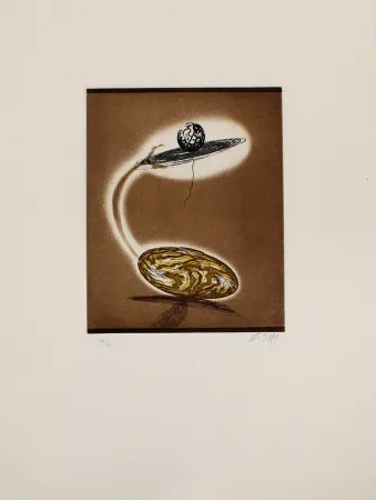 Etching And Aquatint Zush - Vloplanet