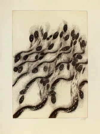 Etching And Aquatint Zush - Vovlusos